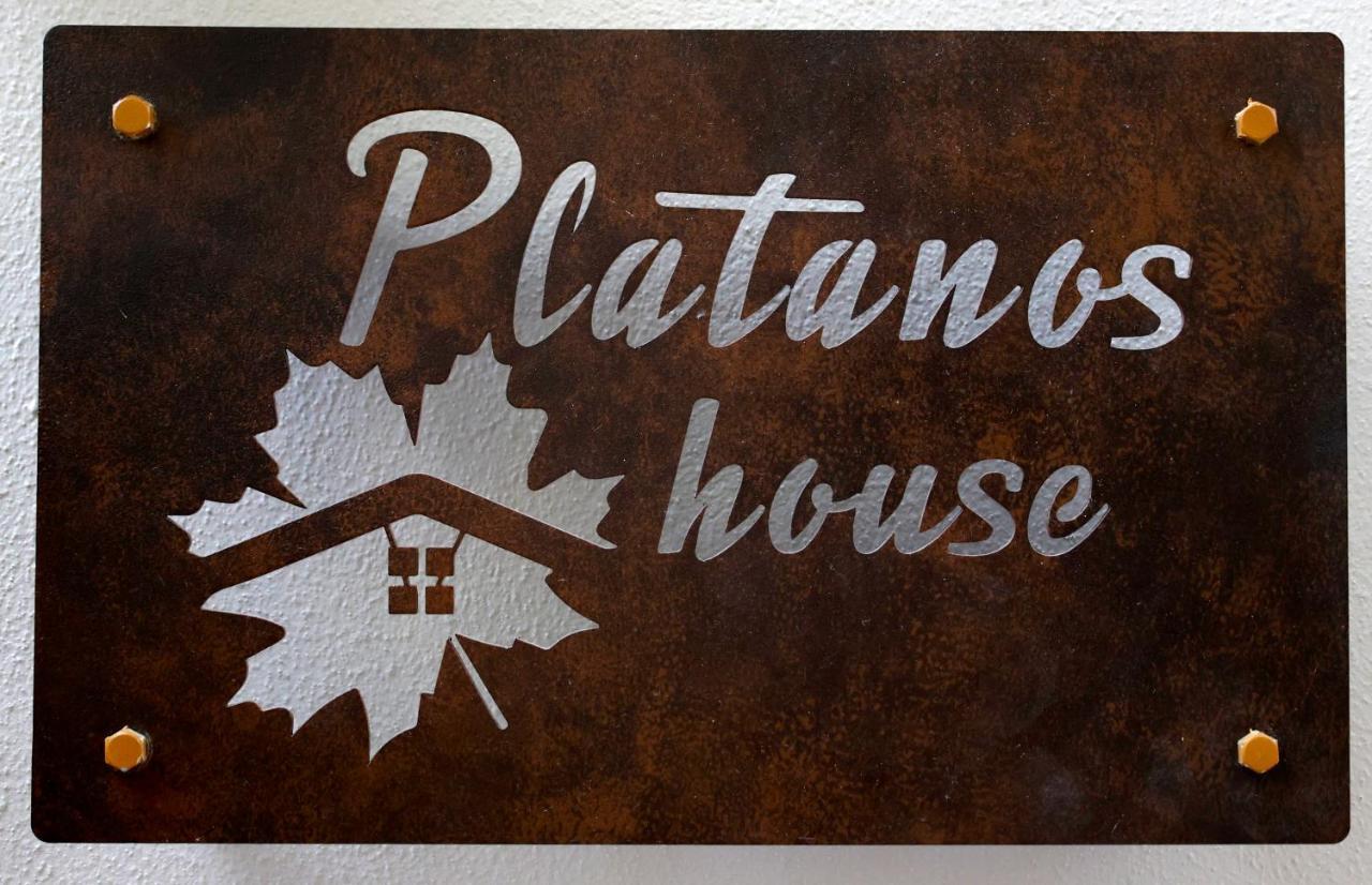 Platanos House Apartment Plomari Bagian luar foto